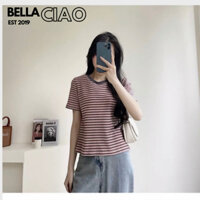 Áo thun baby tee nữ basic kẻ sọc tay ngắn thoáng mát giá rẻ dưới 55kg  BELLA CIAO