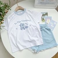 Áo thun Babytee Freesize phối sọc trắng In the Vineyard - Chất Cotton 100% co giãn 2 chiều, siêu chất. Mã SP A9.2