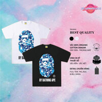 Áo thun BAPE Hàng Cao Cấp Cotton 100% [ Free Ship ]