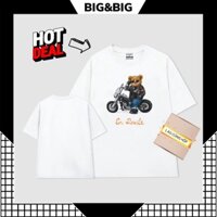 Áo thun basic BIG&BIG áo thun cotton 100% thoáng mát áo cotton in hình chú gấu lái xe bao ngầu luôn nha basic tee TD122