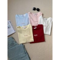 Áo thun Basic dáng rộng vừa hàng Quảng Châu CoCo