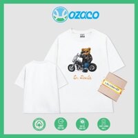 Áo thun basic HAZACO áo thun cotton 100% thoáng mát áo cotton in hình chú gấu lái xe bao ngầu luôn nha basic tee TD122