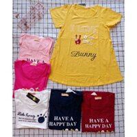 Áo thun bầu dáng chữ A cho bầu nhỏ