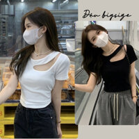 Áo thun bigsize nữ tay ngắn cổ tròn khoét nửa vai chất borip thái co giãn mềm mại 58-95kg - A46