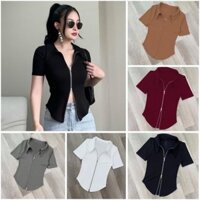 Áo thun borip cotton cao cấp. dây kéo 2 đầu ( Bigsize :45-85 kg ) Nữ Women Top