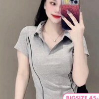 Áo Thun Borip Ôm Body 2 Viền, Áo Thun Nữ Co Giãn 4 Chiều, Chất Liệu Mềm Mại, Tôn Dáng - Bigsize 45-85kg