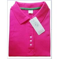 Áo Thun Cá Sấu Nữ Có Cổ - Cánh sen 45-75kg - 2XL