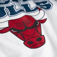 Áo thun Chicago Bulls Unisex custom 47LocalBrand form rộng, chất vải 100% Cotton 2 chiều, dày dặn in hình cao cấp