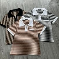 Áo thun cổ bẻ sọc bigsize chất thun tăm thoáng mát dễ chịu phù hợp cho các nàng chuppy phối quần váy xinh xẻo CB SOC