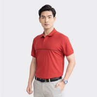 ÁO THUN CÓ CỔ NGẮN TAY 𝐀𝐑𝐈𝐒𝐓𝐈𝐍𝐎 APS116S3