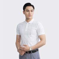 ÁO THUN CÓ CỔ NGẮN TAY ARISTINO APS055S3