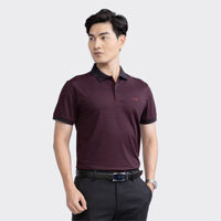 ÁO THUN CÓ CỔ NGẮN TAY ARISTINO APS077S3