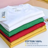 Áo thun cổ tim nữ  màu trơn, vải cotton 4 chiều mềm mịn, dáng suông ôm vừa, đủ size