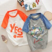 Áo thun cổ tròn phối tay áo cho bé Size từ 18kg đến 55kg chất vải cotton mềm mịn, thoáng mát có 4 màu cá tính ATPV02