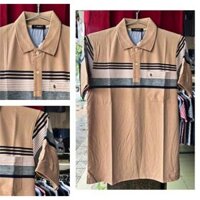 Áo thun cotton,áo thun cao cấp,áo thun nam-fashion Rồng Vàng
