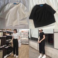Áo thun croptop nữ ❤️size M L XL❤️ Giảm 10K Khi Nhập [ Áo Thun Nữ ] Áo Thun Trơn Basic màu TRẮNG/ĐEN❤️
