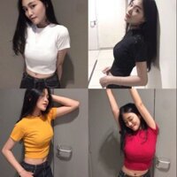 Áo thun croptop trơn ôm body