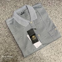 Áo thun dài tay nam trung niên trung tuổi chất đep cưc mát  size từ 48kg đến 80kg - 4,M