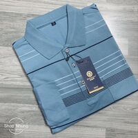 Áo thun dài tay nam trung niên trung tuổi chất đep cưc mát  size từ 48kg đến 80kg - 3 xanh,L