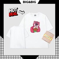 Áo thun form rộng  BIG&BIG áo phông local brand mềm mại thoáng mát hè áo thun  gấu dâu ôm dâu áo cotton GD029