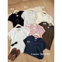 Áo thun giấy chuẩn hãng studio