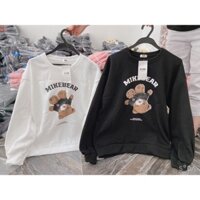Áo Thun Hình Con Gấu Form Rộng