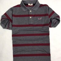 Áo thun Hollis xuất khẩu có size to cho người trên 80kg