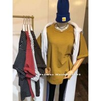 Áo thun kẻ nữ, áo thun sọc nữ A434