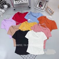 Áo thun kiểu phối dây chéo cổ . Áo thun dáng ôm ngắn tay vạt bầu MS52 - Phamtrang Shop