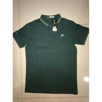 Áo thun lạnh nam có cổ