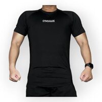 Áo thun lạnh nam tập gym DOGYMSHOP logo thêu, form ôm body đẹp AGTN9 - Đen - XL 75 - 85kg dưới 1m85