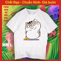 áo thun mèo cat ami bụng bự m21,chất đẹp, bao đổi trả MEO MEO - M21,XXL 78-85 kg