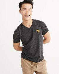 Áo thun nam Abercrombie & Fitch AF-T210 BIG ICON V-NECK TEE