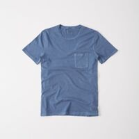 Áo thun nam Abercrombie & Fitch AF-T215 Garment Dye Crew Tee