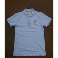 Áo thun nam AMERICAN EAGLE thời trang đẹp - độc - RẺ (thiê thanh)