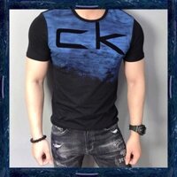 Áo Thun Nam Body Cao Cấp Mềm Mịn Không Xù Lông,áo thun nam hàn quốc cao cấp áo thun nam giá rẻ