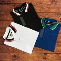 Áo thun nam cá sấu 100% cotton in nổi logo