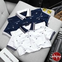 ÁO THUN NAM CÁ SẤU CỔ BẺ LOGO - N.D MENSWEAR