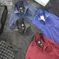 Áo thun nam cá sấu logo dập nổi cao cấp ( nhiều màu) - CS068