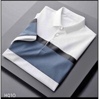 Áo Thun nam cổ bẻ HQ10 phối vải cá sấu Cotton xuất xịn,chuẩn form,sang trọng-lịch lãm RUBYSHOP