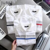 Áo thun nam cổ bê phối sọc cao cấp