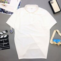 Áo thun nam cổ bẻ vải cotton cá sấu tay ngắn cao cấp nhiều màu sắc sang trọng