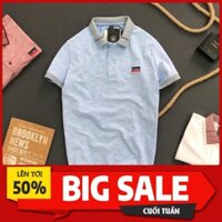 Áo thun nam có cổ Havis chất thun cotton mè nam tính thời trang cao cấp AXK063  ྇