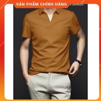 Áo thun nam có cổ mã  POLO CỔ V MÀU NÂU - chất thun cá sấu cotton 100% đang hot nhất thị trường mua hè này