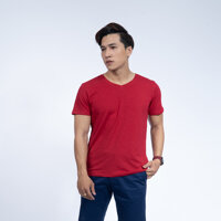 Áo thun nam cổ tim Novelty 190147N - S