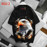 Áo thun nam cổ tròn Havis chất cotton cao cấp logo độc đáo cực đẹp AXK363