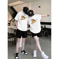 Áo thun nam cổ tròn Havis in hình trẻ trung cực đẹp  AXK174