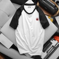 Áo thun nam cổ tròn Havis tay raplan phối màu trẻ trung,năng động siêu đẹp AXK308