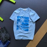 ÁO THUN NAM CỔ TRÒN HOLLISTER IN CAO CẤP