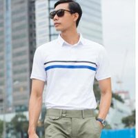 Áo Thun Nam Cotton Trắng Sọc Xanh TC397-TSX - Trắng - XL